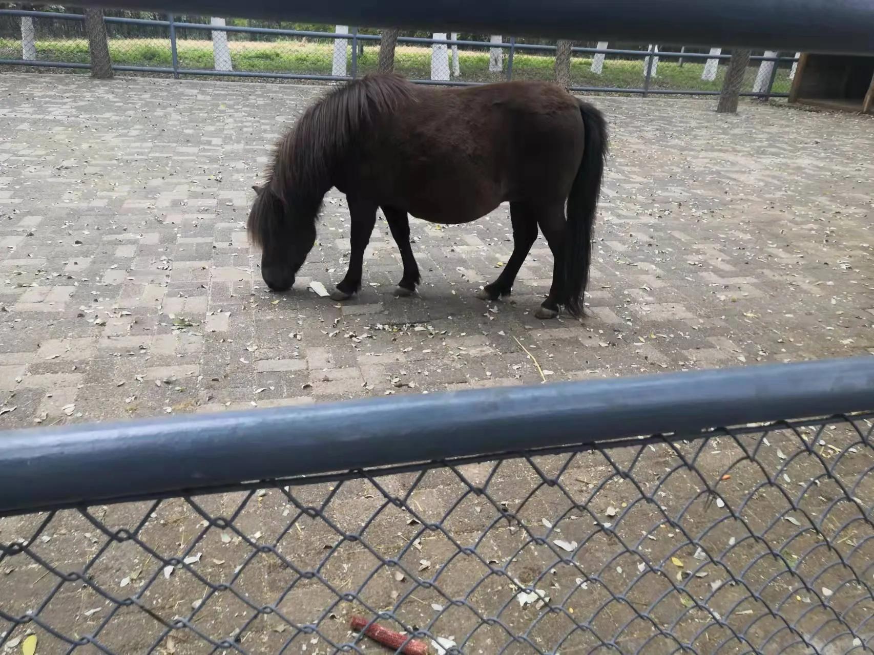 长白岛森林公园地铁,长白岛森林公园打卡攻略