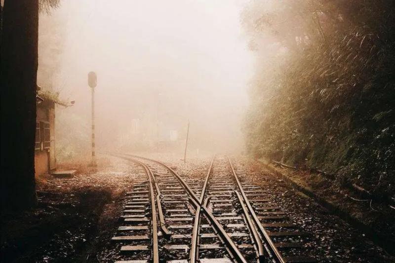 新农村新气象一份耕耘一份收获,我们的新农村充满了希望和活力