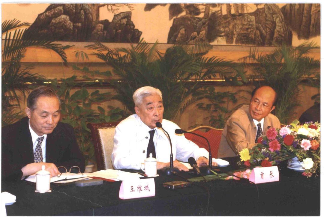 深切缅怀|丁石孙：既然当了民盟中央主席，就要尽己之力把它当好