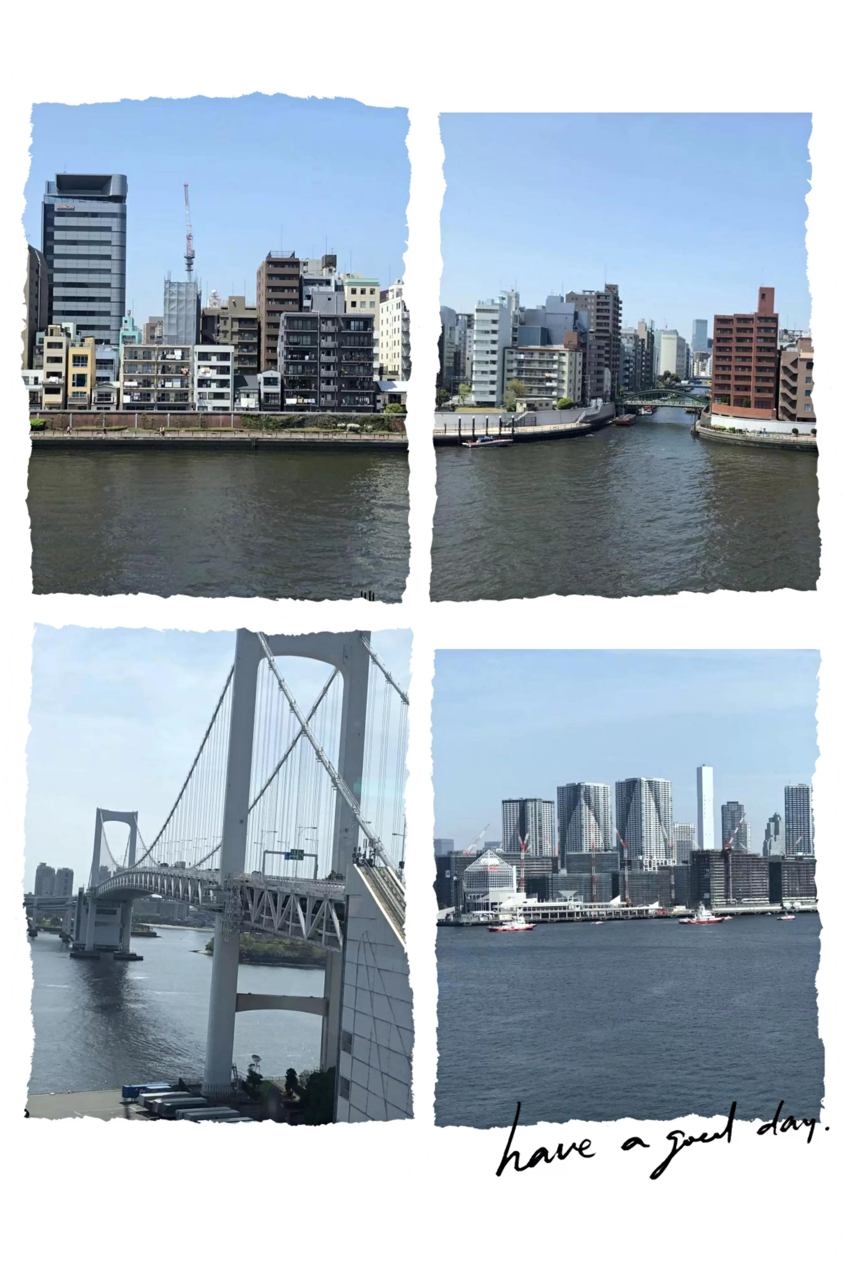 浪漫樱花舞完整版,浪漫樱花28步