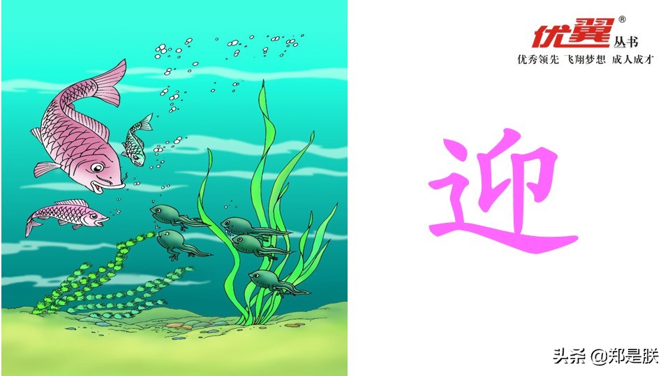 二年级小蝌蚪找妈妈诵读,二年级语文第1课小蝌蚪找妈妈