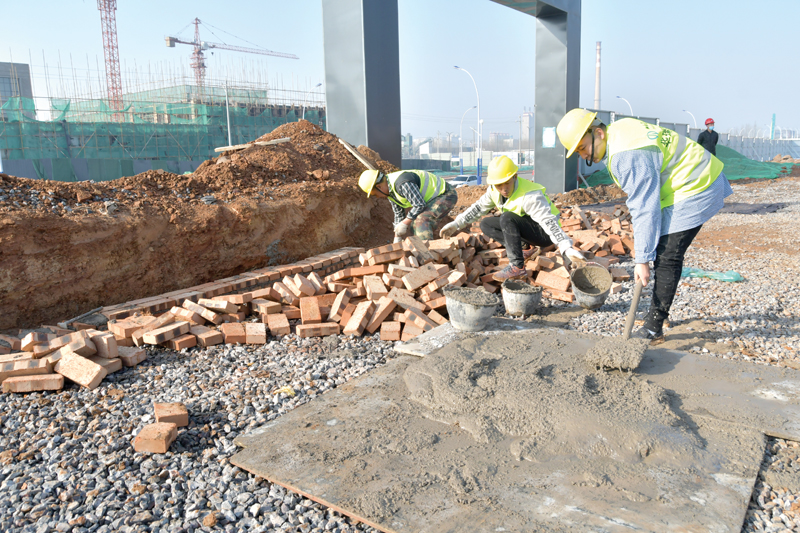 迎着春风实干前行视频,迎着春风迈向前方奔向未来