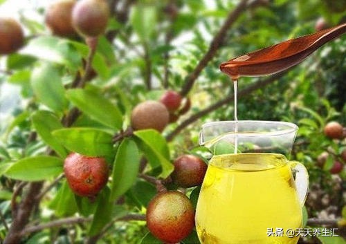 一个小技巧，让女人告别“主妇手”，不妨了解一下