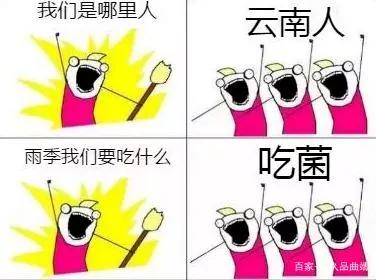 外地人眼里的云南人是怎样的,外地人眼里的云南人动画