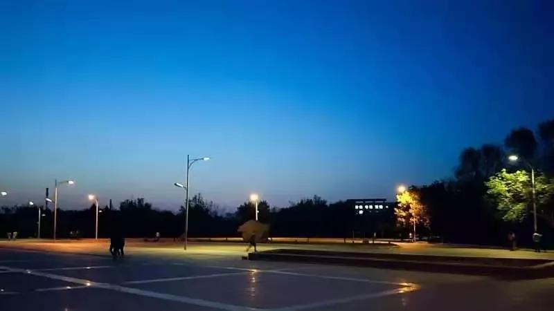 沈阳化工大学辽宁省排名,沈阳化工大学2020招生计划辽宁省