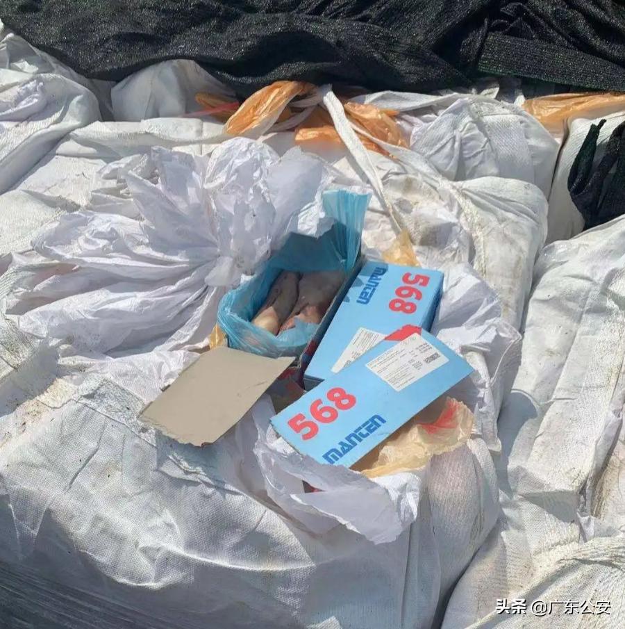 吃完火龙果后千万不要碰这几种,吃完火龙果千万别吃这三种