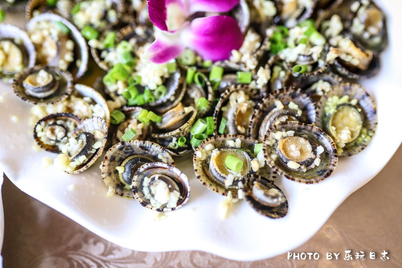 广东平价海岛旅行攻略,广东最美海岛游玩攻略