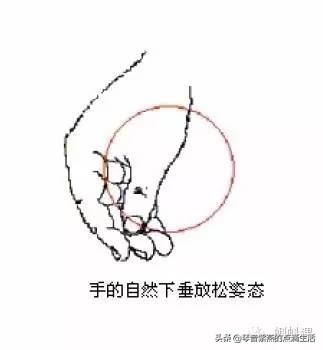 电子琴教学入门弹奏一首母亲,电子琴初学入门教程母亲