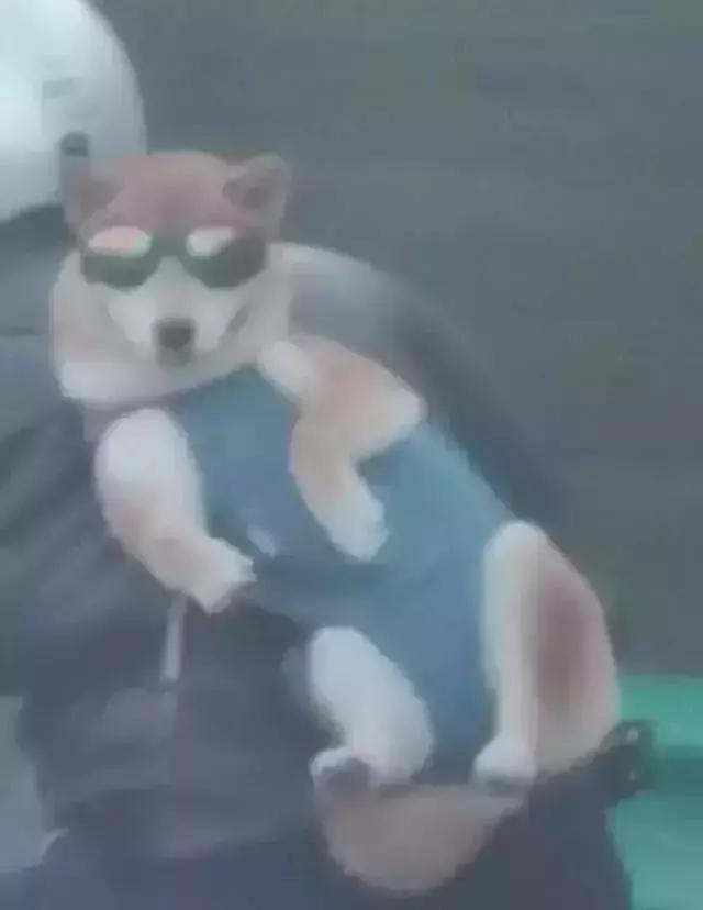 守身如玉20年，“第一次”竟然给了一只狗