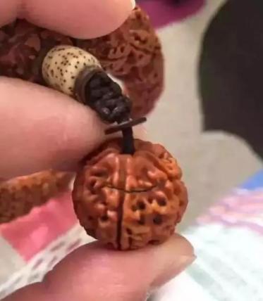 金刚菩提手串开裂怎么补救,金刚菩提手串有裂痕怎样快速补救