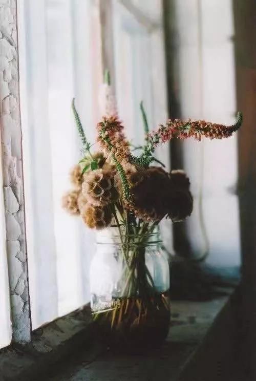 纯小白买花攻略,小白买股实操