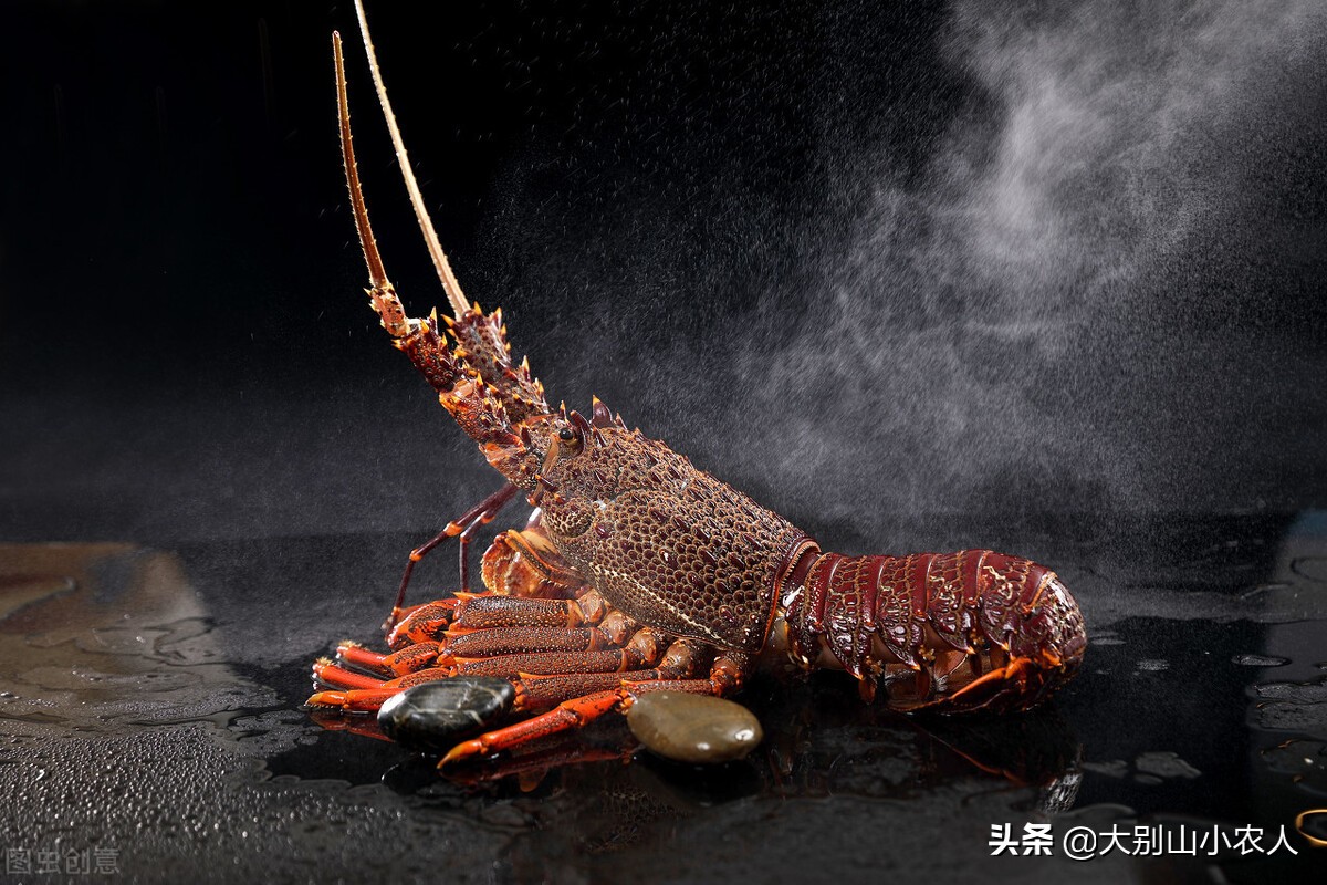 阳澄湖大闸蟹金字招牌,疯狂大闸蟹