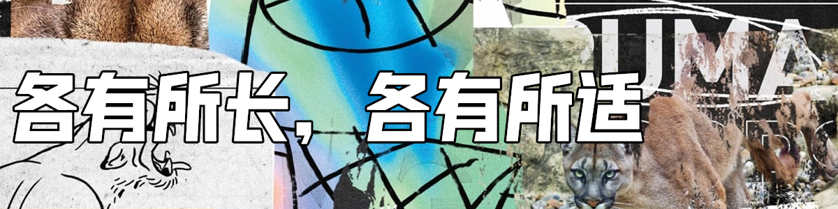 买好看又好穿的实战鞋，我居然会先想到Puma