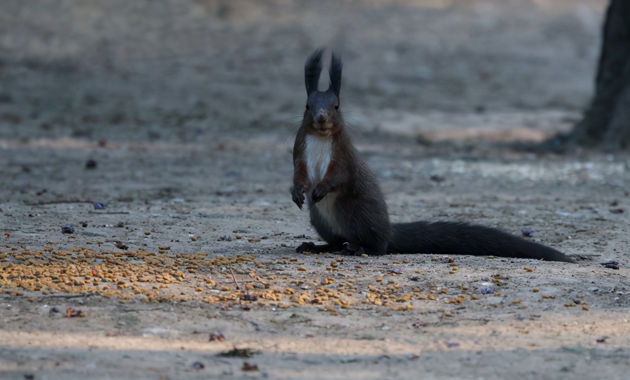 长度1.4米的头发可以卖多少钱,长度120厘米头发能卖多少钱