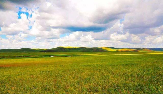 真实锡林郭勒大草原,锡林郭勒草原有多美
