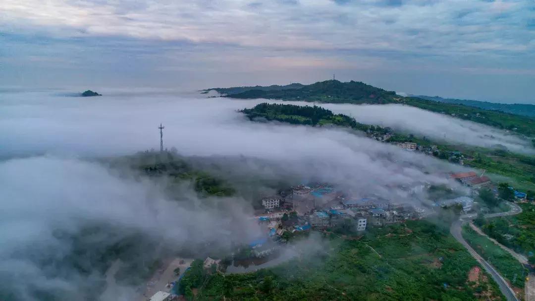 全球最大的城市森林公园,全球最绿色的城市