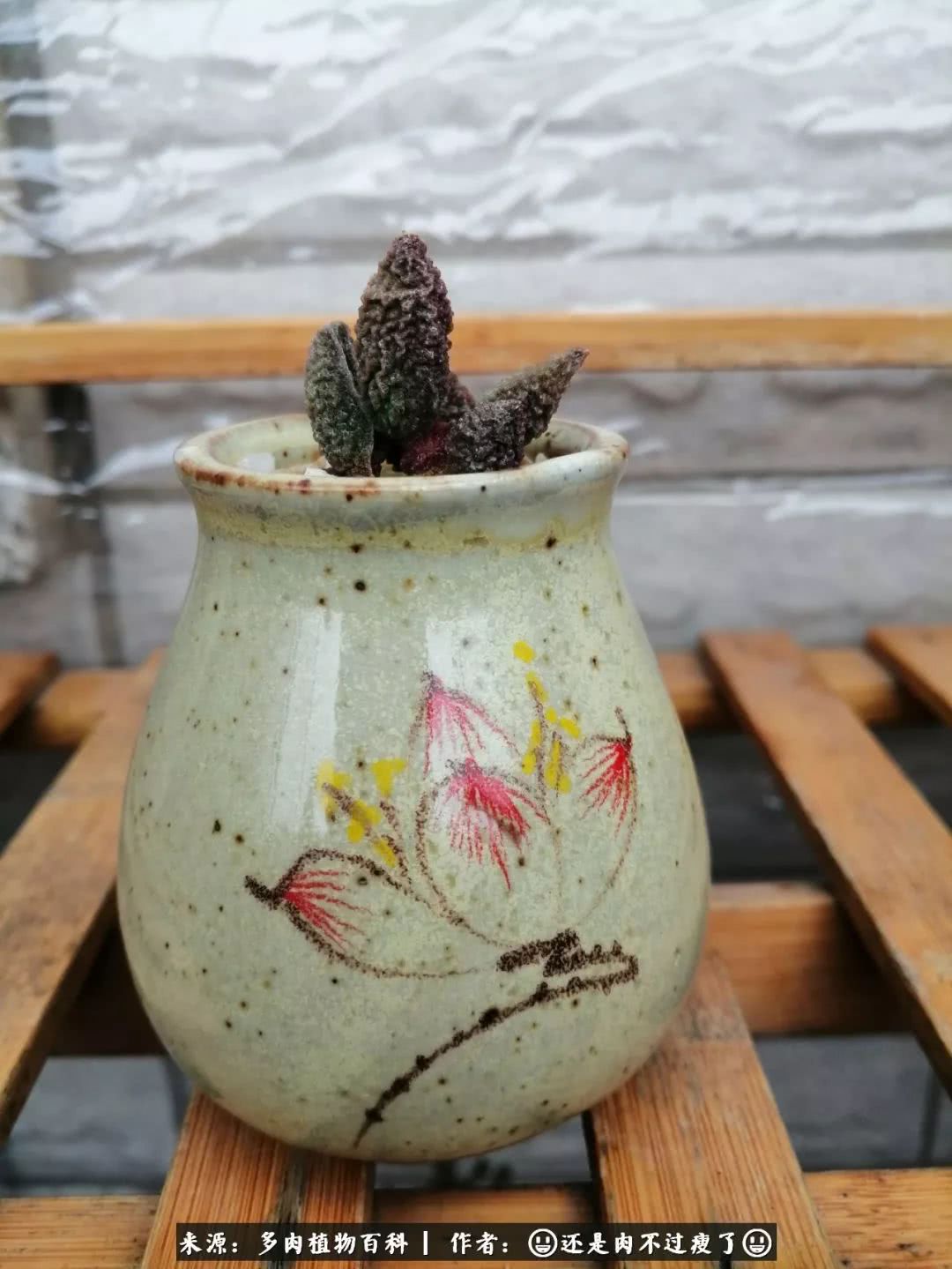 日照弘一法师,日照法师请师父