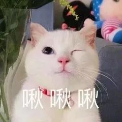 扒皮高考神秘人李华，他究竟是不是李雷韩梅梅的私生子？