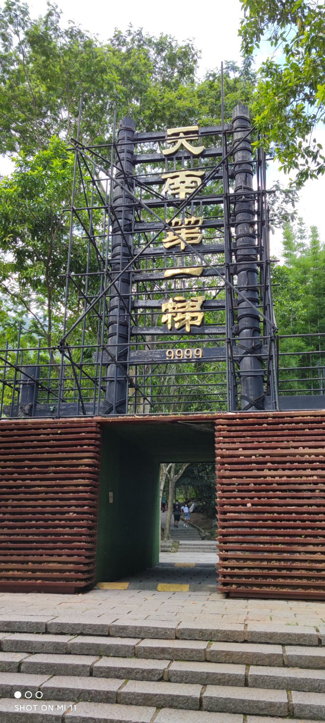 白水寨风景区森林公园,白水寨风景区游玩攻略在什么地方