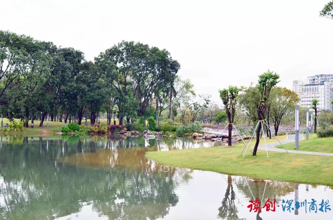 深圳最美婚姻登记处的香蜜湖,深圳最美婚姻福田登记处