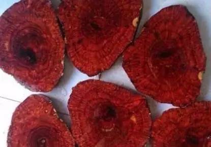 一夜暴富赌石案例,一夜暴富赌石真实经历