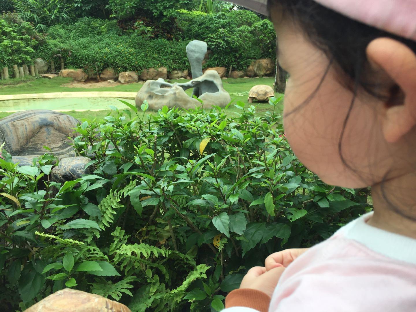 珠海长隆海洋王国附近美食,珠海长隆海洋王国官网预约