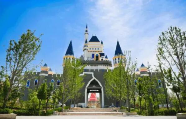 十堰向日葵花海打卡网红地,十堰美丽的地方