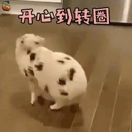 没有房子可以落户到广州吗,没有房子能落户上海吗