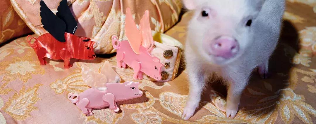 猪猪女生必备100种单品,猪猪女孩本命年必备款