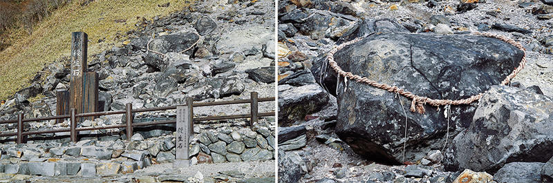 日本东京一日游攻略详细,日本东京五日游最佳路线图