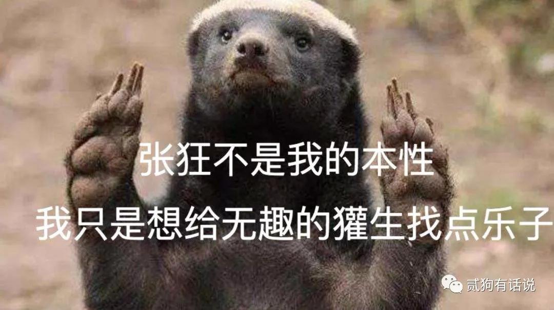 平头哥的传奇记录,平头哥的一生故事