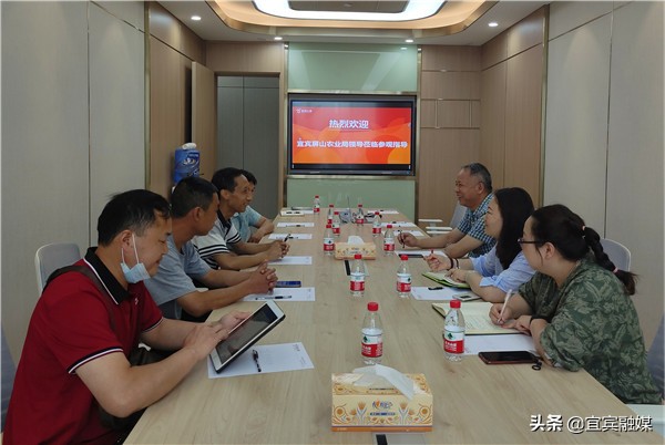 李好四川,李好四川人