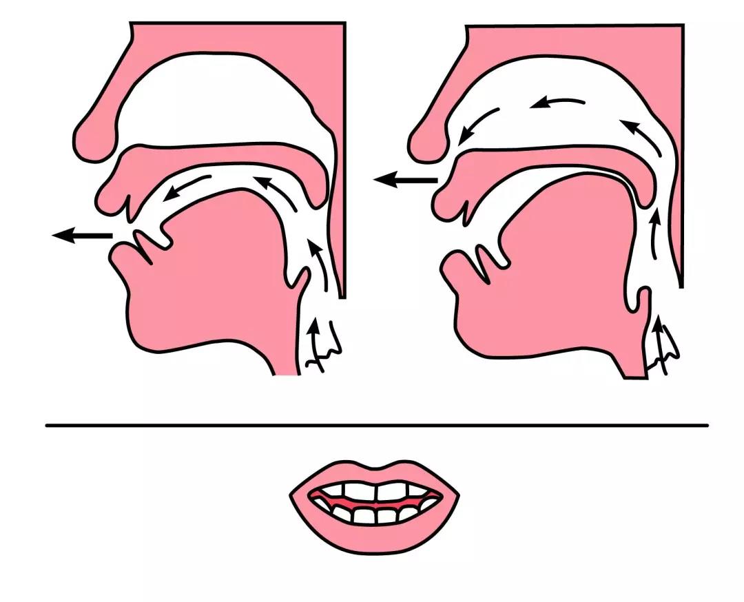 拼音里面的前鼻音和后鼻音有哪些,拼音字母前鼻音字母和后鼻音字母