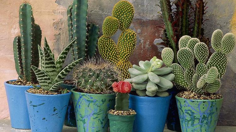 有什么方法防止家里灰尘多,怎么才能避免家里灰尘