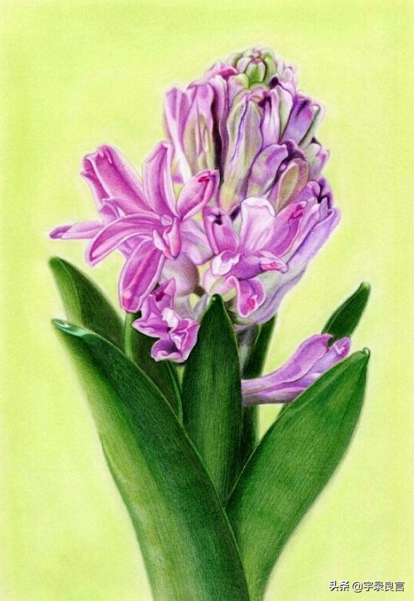 阳光正能量的说说句句温暖自己,积极美好的句子说说