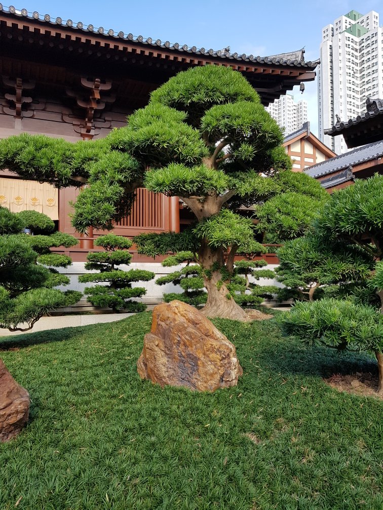 香港志莲净苑地图,香港志莲净苑好玩吗