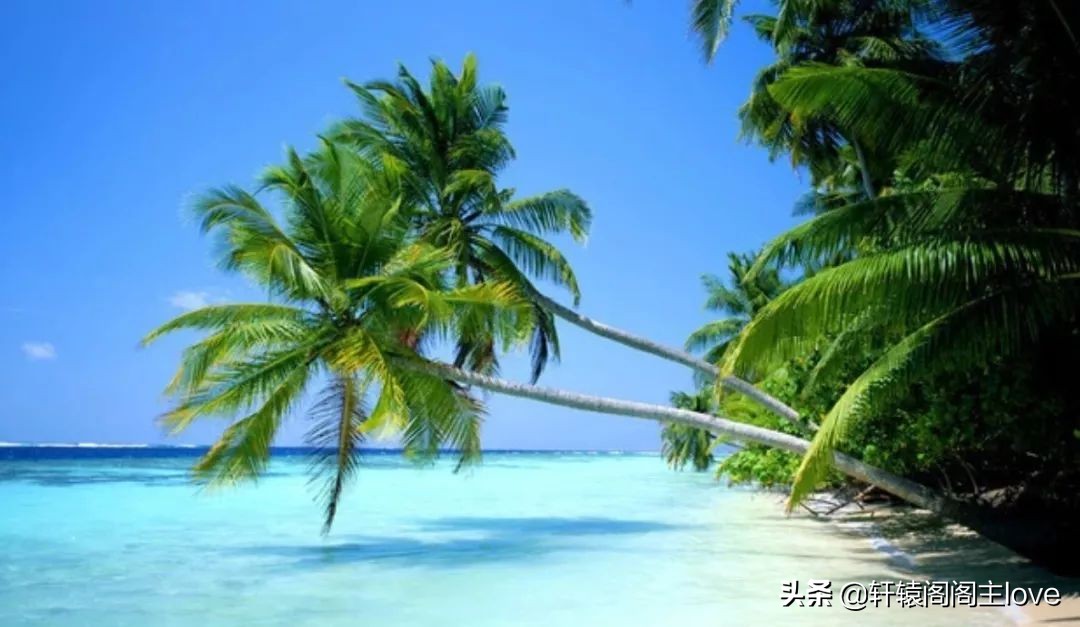 旅行回来想分手了,出去玩一趟回来分手