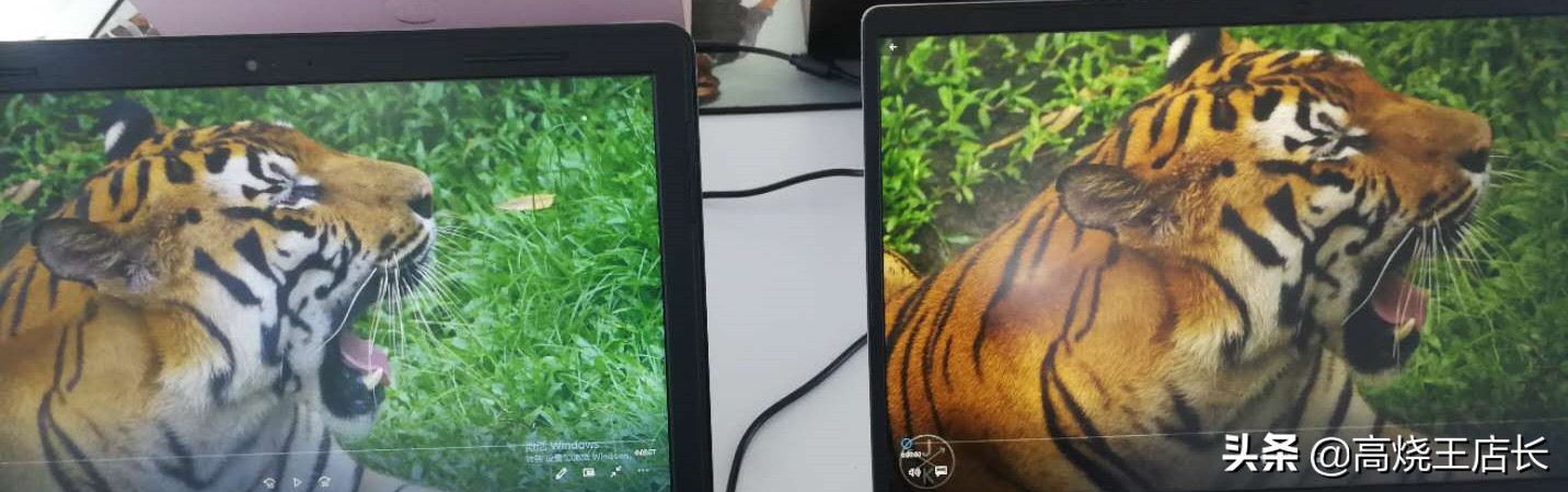 1秒学会分辨东西,一分钟学会分辨假货