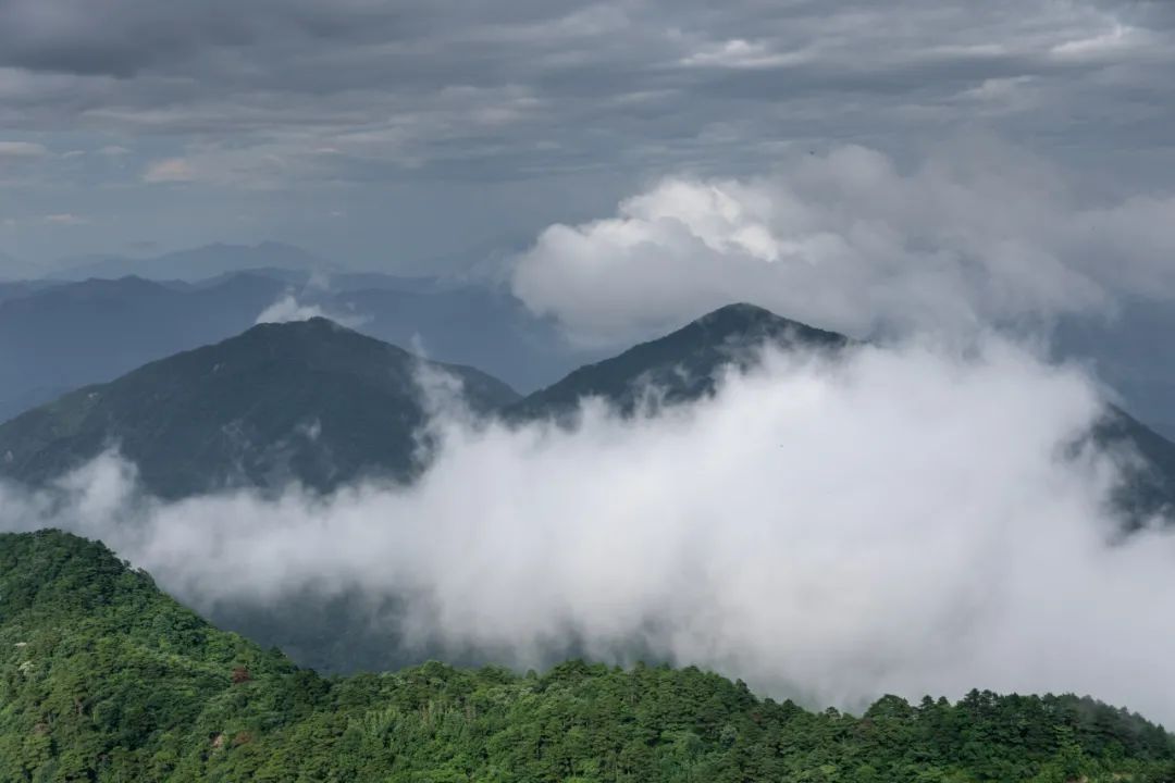 我国四大名山九华山,四大佛教名山哪个风景最美