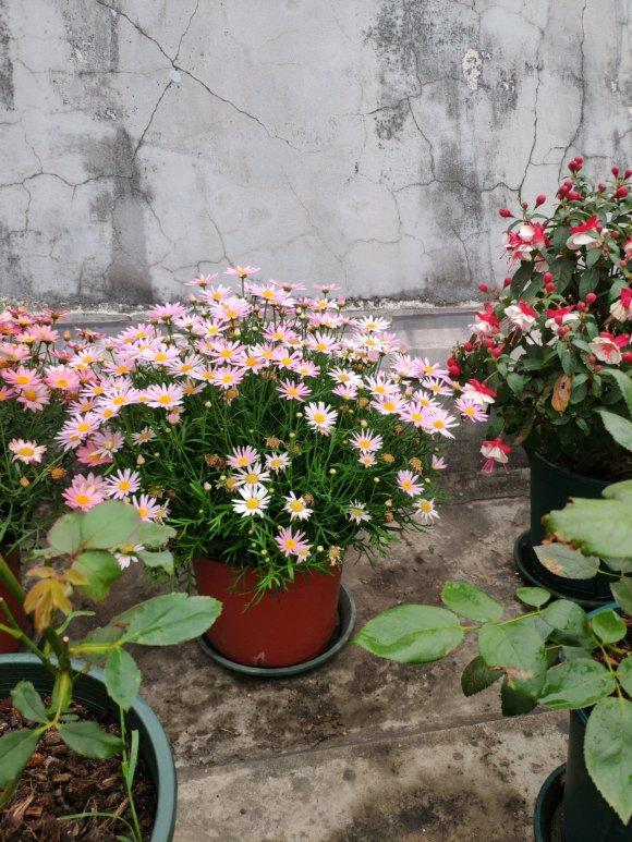 鐜涙牸涓界壒澶忓搴﹀,鐜涙牸涓界壒澶忓ぉ濡備綍搴﹀