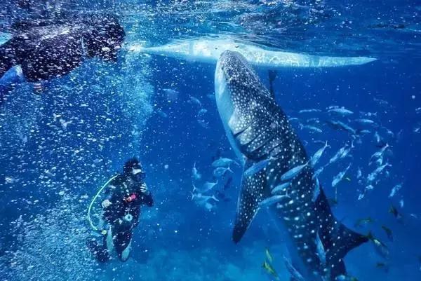 比马尔代夫更美的国家,比马尔代夫还美丽