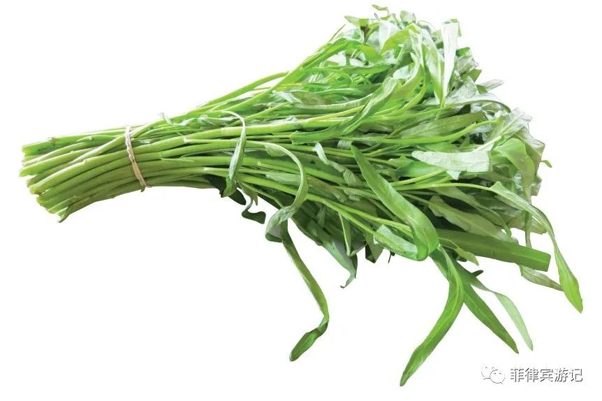 菲律宾青菜价格表,菲律宾蔬菜为什么那么贵