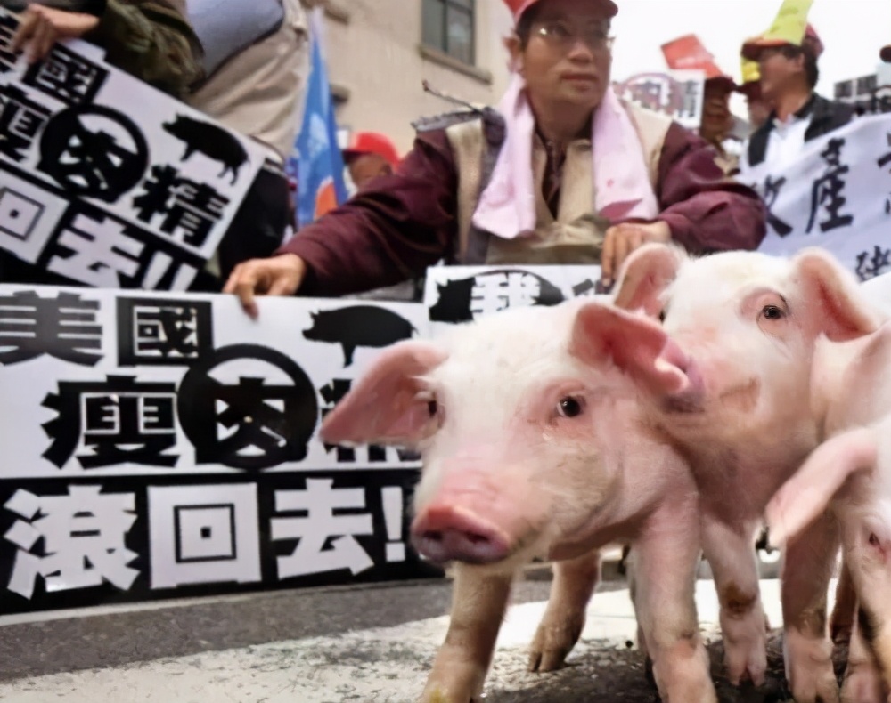 看透蓝绿两*党**的本质！*进党民**太坏，国民*党**太无能，靠谁统一台湾？