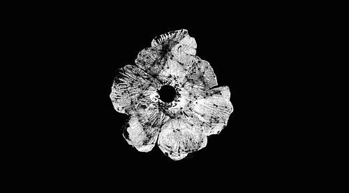 遇到那种说你不懂我的人,当朋友说你不懂我该怎么回