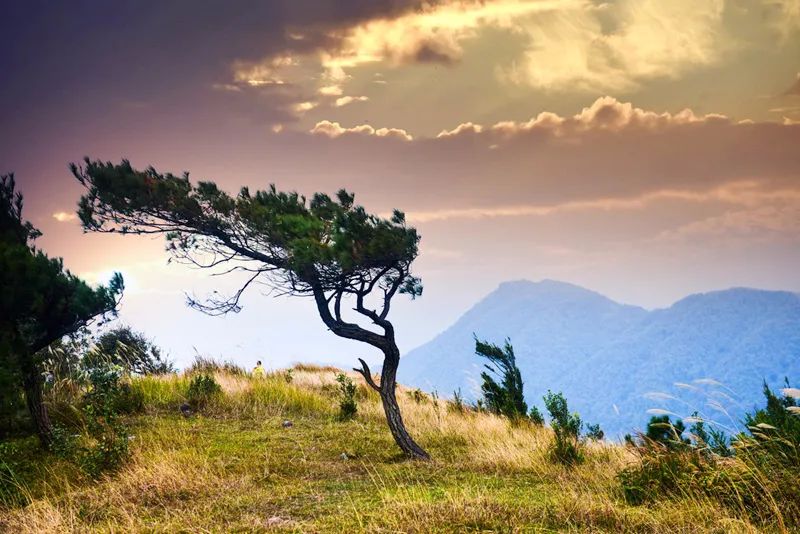 凤栖山传说真实故事,凤凰山老牛背的传说