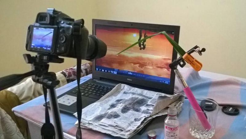 拍摄水滴花技巧,水珠花微距拍摄技巧