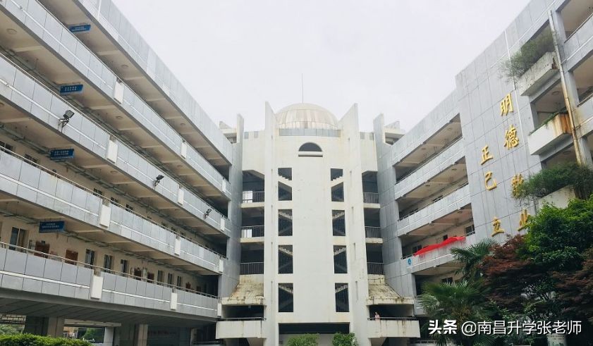 南昌百树外国语学校高新校区,南昌百树外国语学校