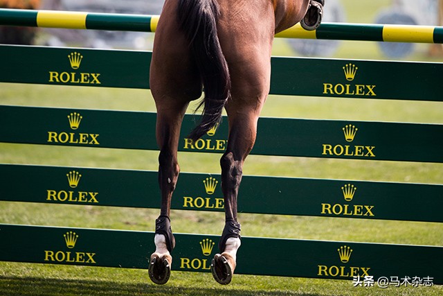 什么！听说几天后云杉草地将会上演一场冠军“厮杀”?