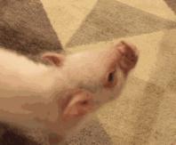 美宝莲限定口红,美宝莲买口红送的包