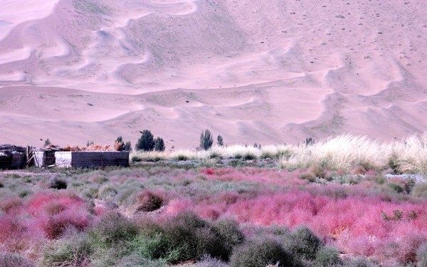 徒步穿越巴丹吉林沙漠路线,穿越巴丹吉林沙漠四日游